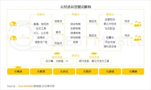 互联网公司的逆势扩张——2020中国移动互联网秋季大报告解析